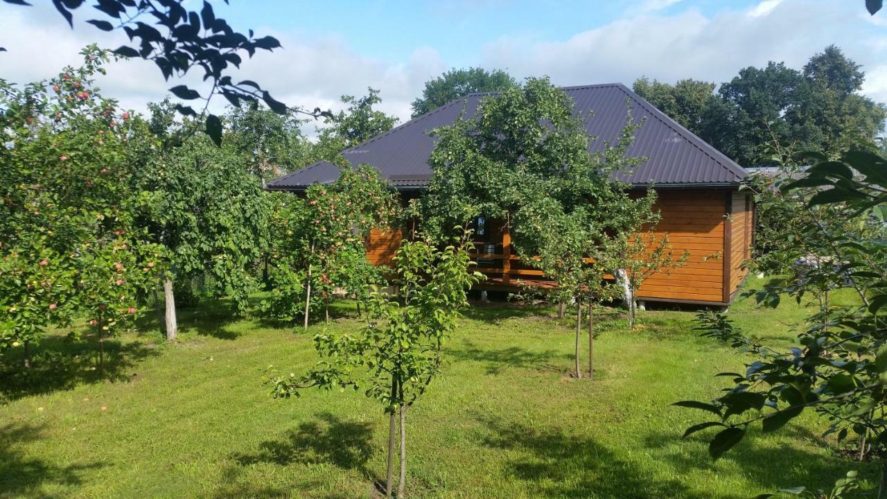 Vasarnamis Zarasuose Villa Zarasai Kültér fotó