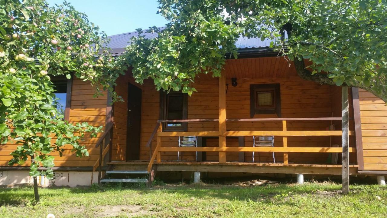 Vasarnamis Zarasuose Villa Zarasai Kültér fotó